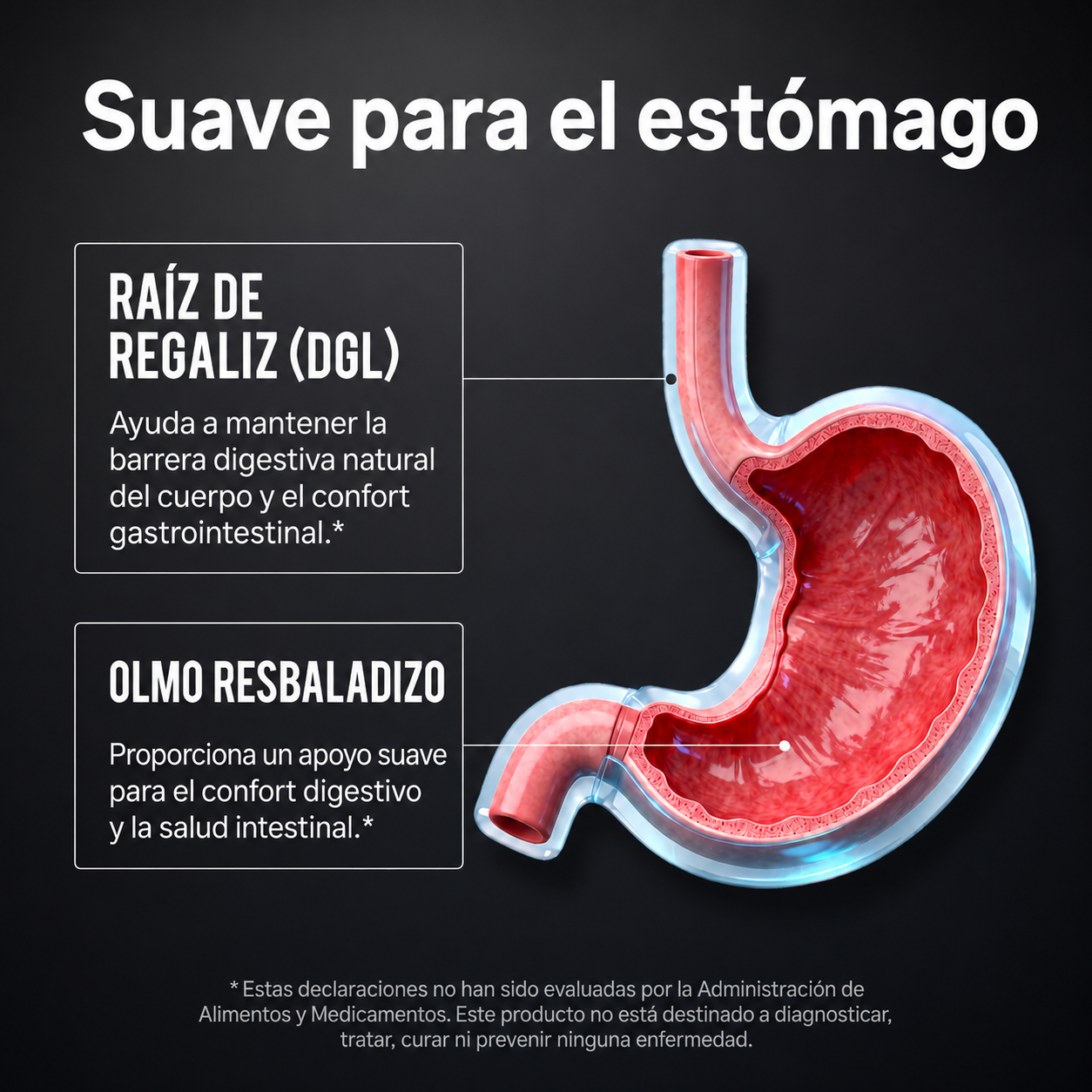 GAD Magnesio 18 en 1   -    RECUPERA TU TESTOSTERONA SIN IMPORTAR TU EDAD