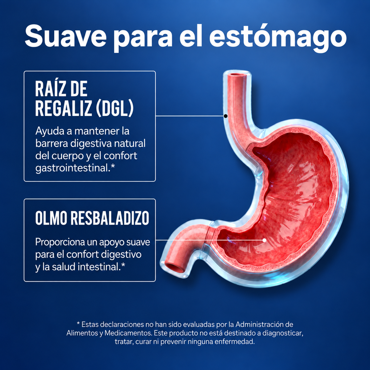 COMPLEJO DE MAGNESIO 18 EN 1 - GAD NUTRITION